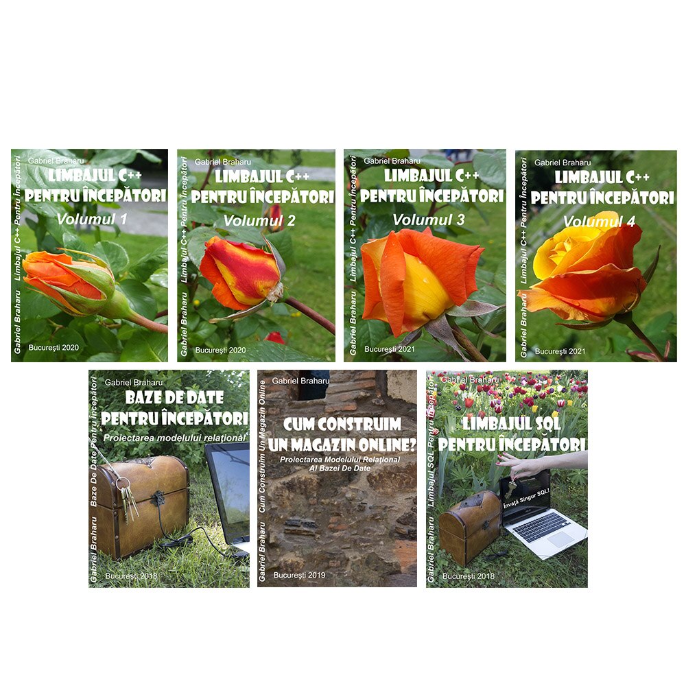 Set de 7 Carti Programare Incepatori (7), Gabriel Braharu, Colectia 