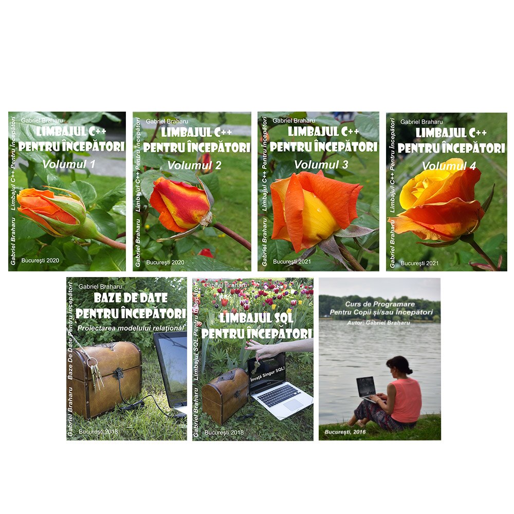 Set de 7 Carti Programare Incepatori (5), Gabriel Braharu, Colectia 