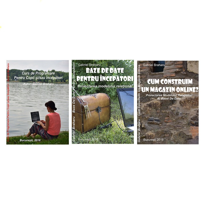 Set de 3 Carti Programare Incepatori (2), Gabriel Braharu, Colectia "Invata programare singur", 3 bucati