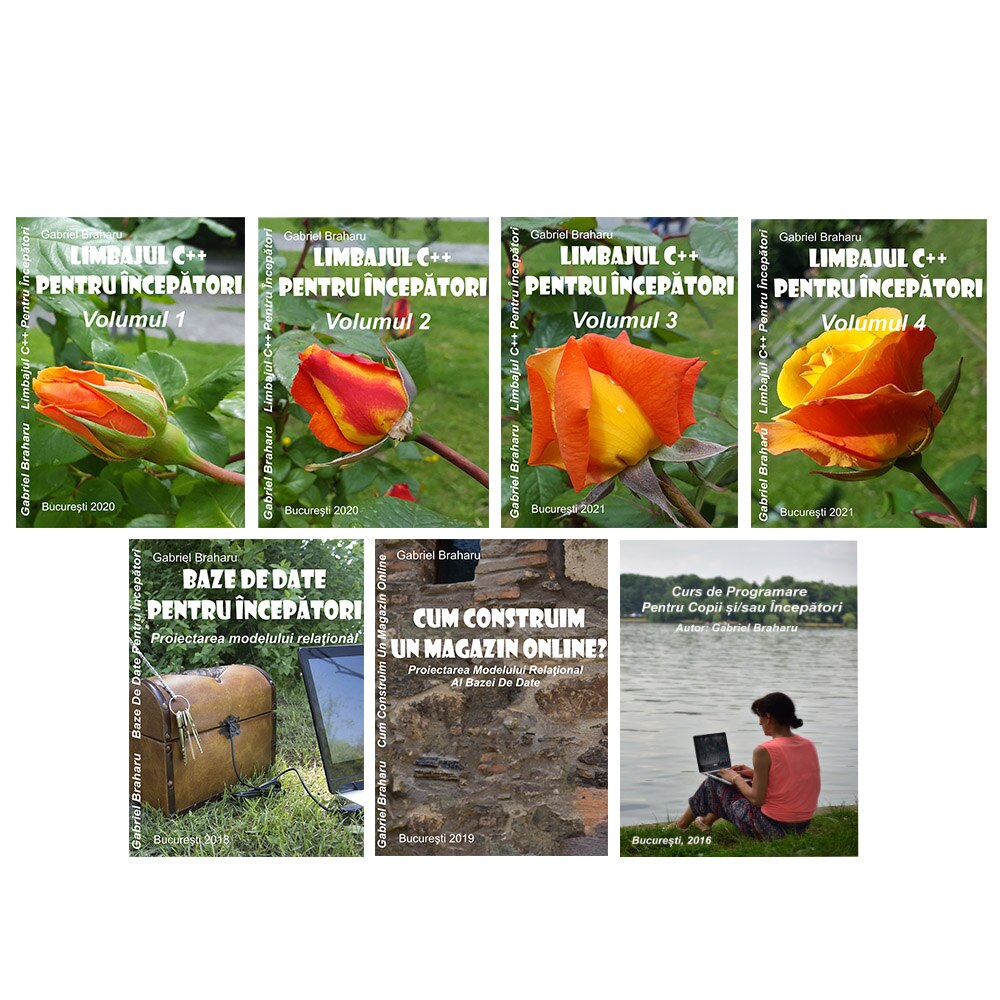 Set de 7 Carti Programare Incepatori (4), Gabriel Braharu, Colectia 