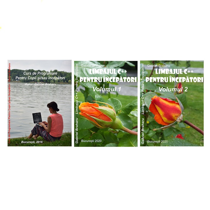 Set de 3 Carti Programare Incepatori (6), Gabriel Braharu, Colectia "Invata programare singur", 3 bucati