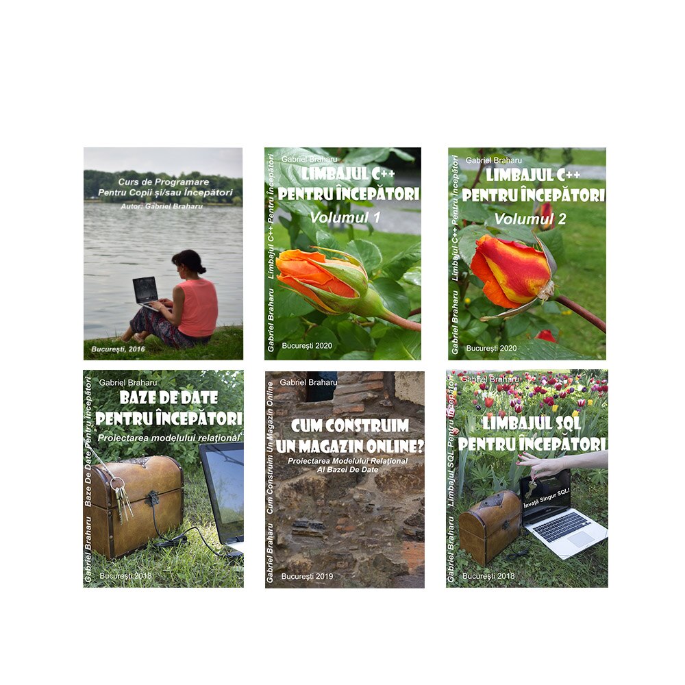 Set de 6 Carti Programare Incepatori (3), Gabriel Braharu, Colectia 