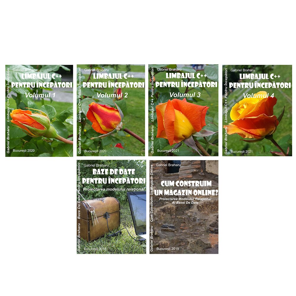 Set de 6 Carti Programare Incepatori (9), Gabriel Braharu, Colectia 