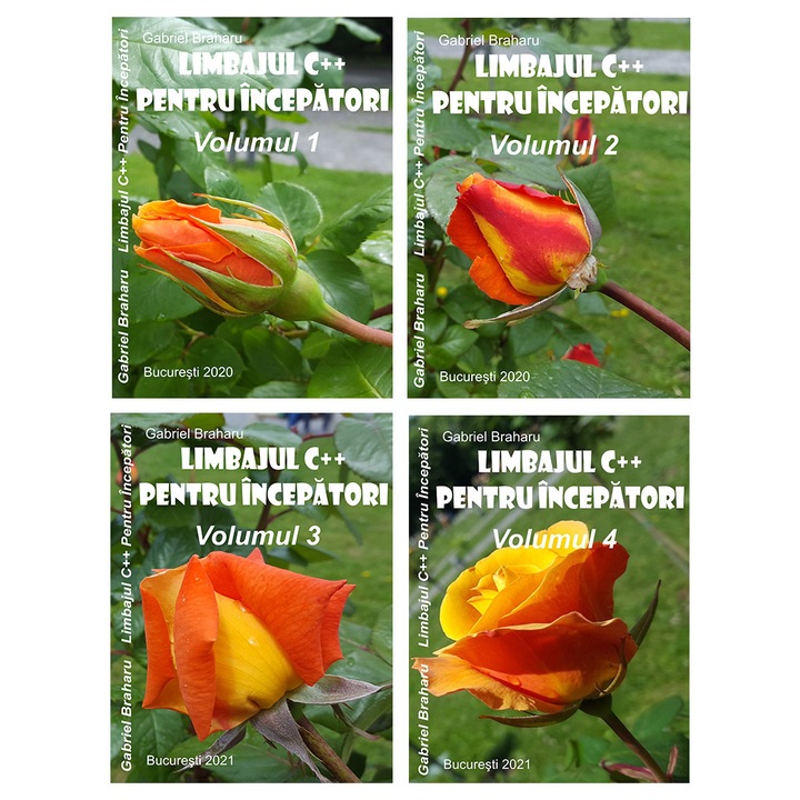 Set de 4 Carti Programare Incepatori, Gabriel Braharu (6), Colectia "Invata programare singur", 4 bucati