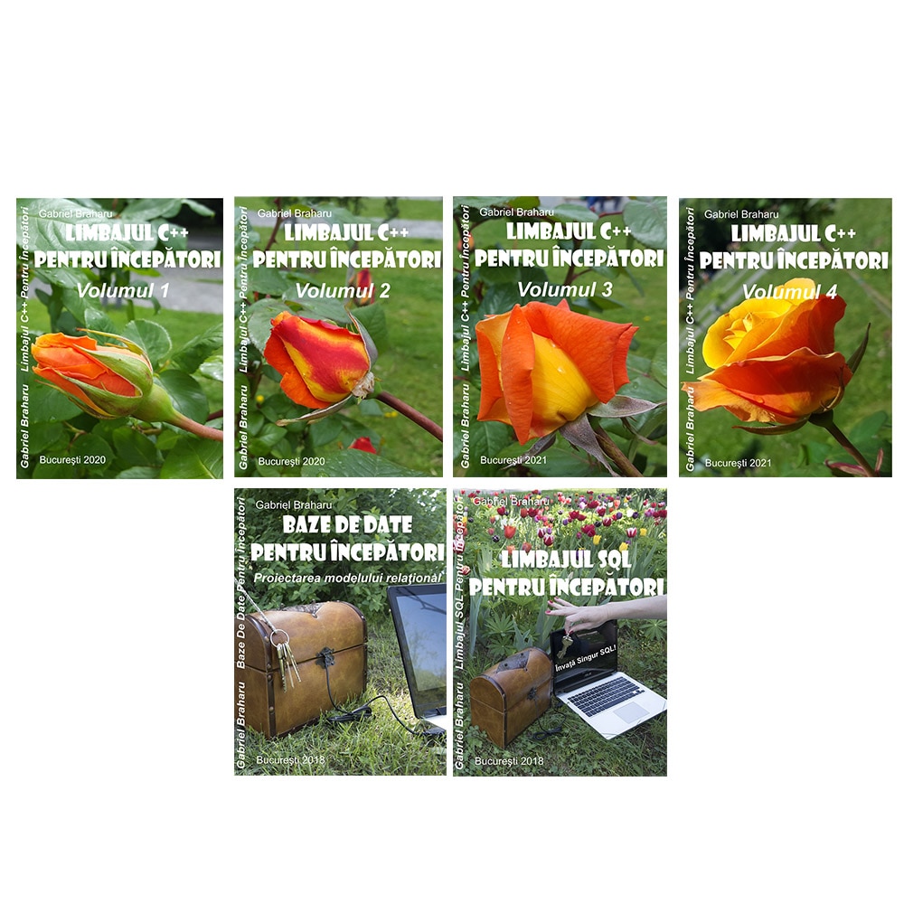 Set de 6 Carti Programare Incepatori (10), Gabriel Braharu, Colectia 
