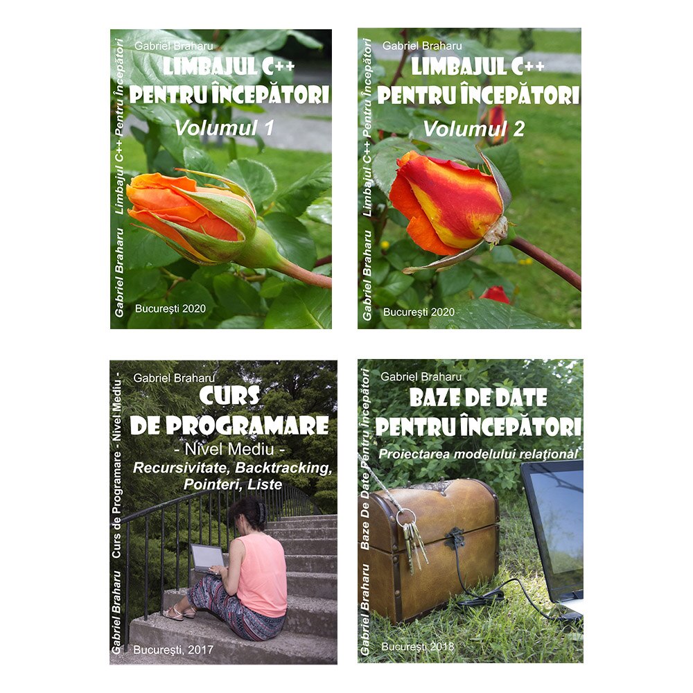 Set de 4 Carti Programare Incepatori (9), Gabriel Braharu, Colectia 