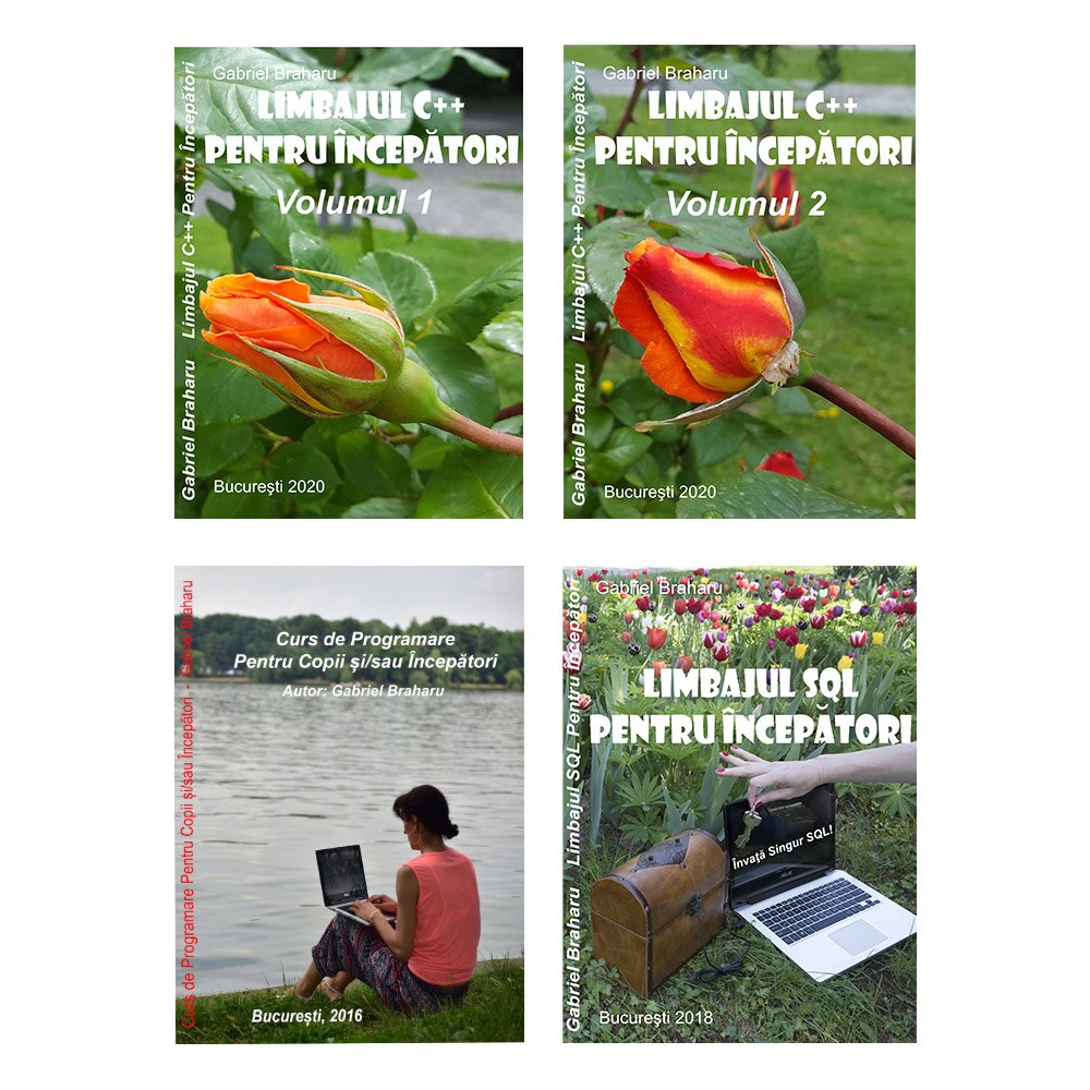 Set de 4 Carti Programare Incepatori (8), Gabriel Braharu, Colectia 