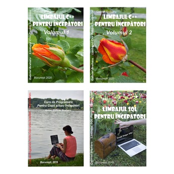 Set de 4 Carti Programare Incepatori (8), Gabriel Braharu, Colectia  Set de 4 Carti Programare Incepatori (8), Gabriel Braharu, Colectia