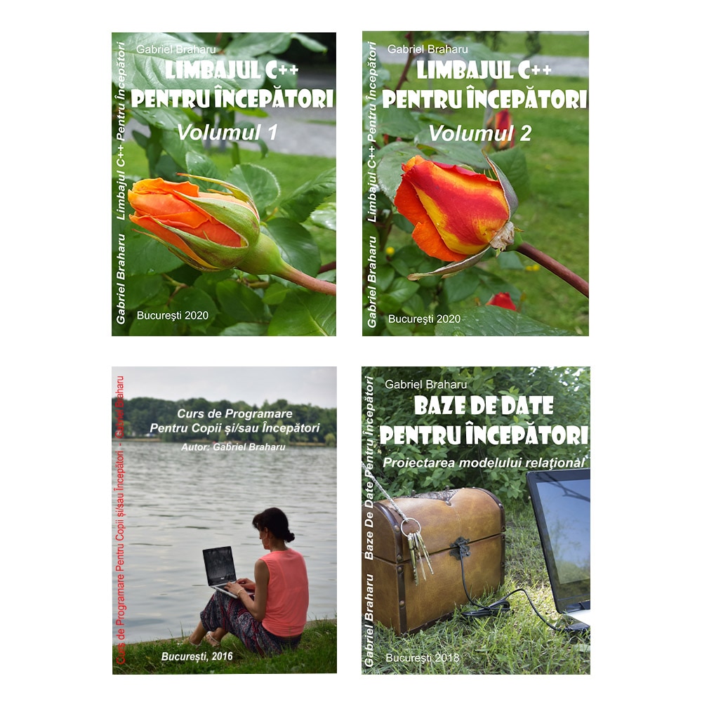 Set de 4 Carti Programare Incepatori (7), Gabriel Braharu, Colectia 