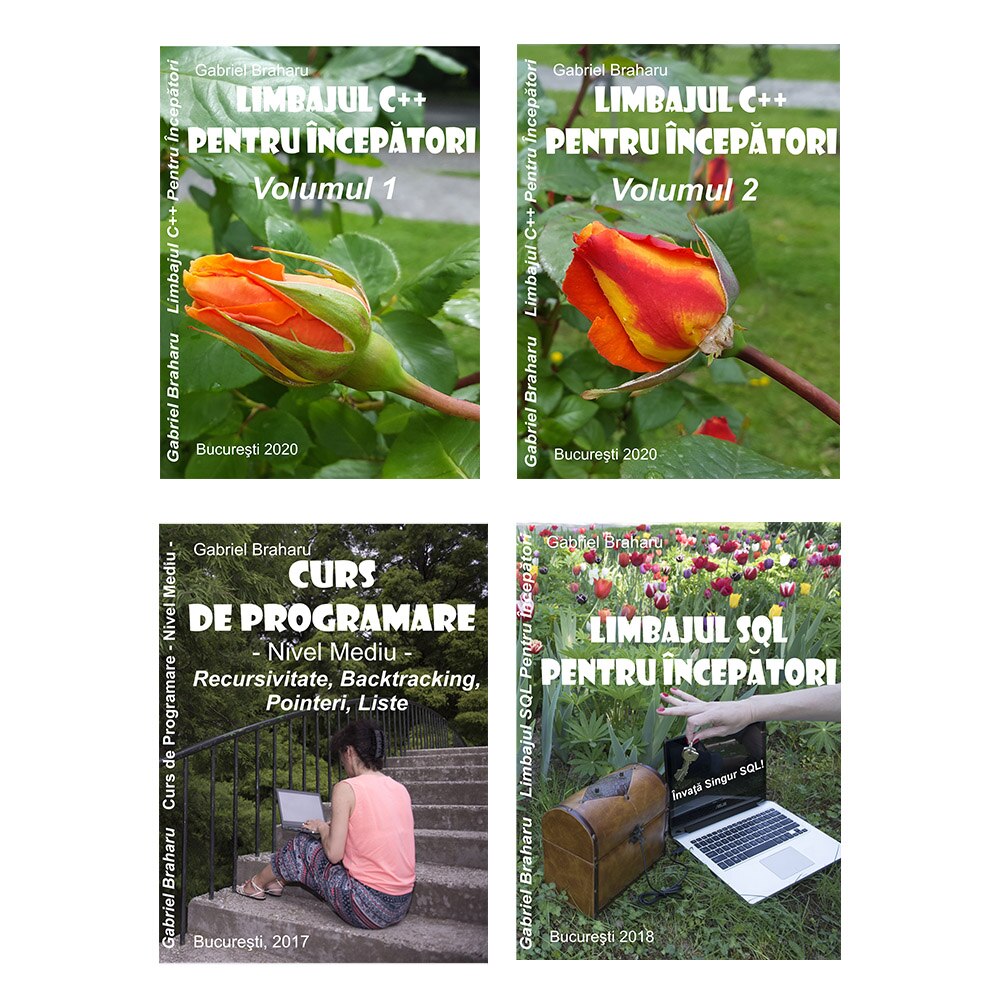 Set de 4 Carti Programare Incepatori (10), Gabriel Braharu, Colectia 