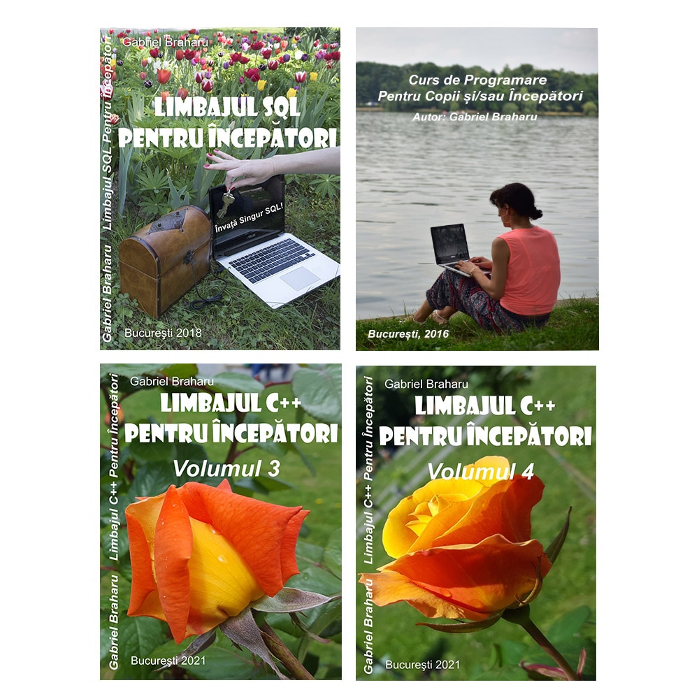 Set de 4 Carti Programare Incepatori (13), Gabriel Braharu, Colectia 