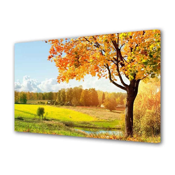 Tablou Canvas Toamna pe campie, 50 x 70 cm