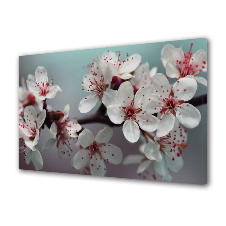 Tablou Canvas Flori albe, 50 x 70 cm