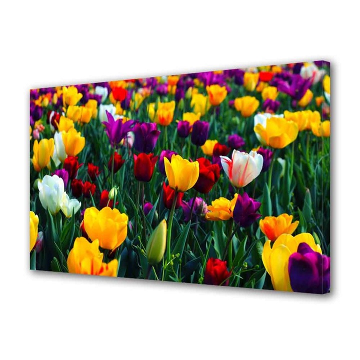 Tablou Canvas Lalele Colorate, 20 x 30 cm