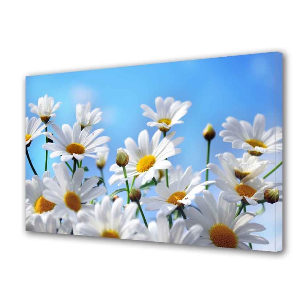 Tablou Canvas Flori albe pe cer, 40 x 60 cm