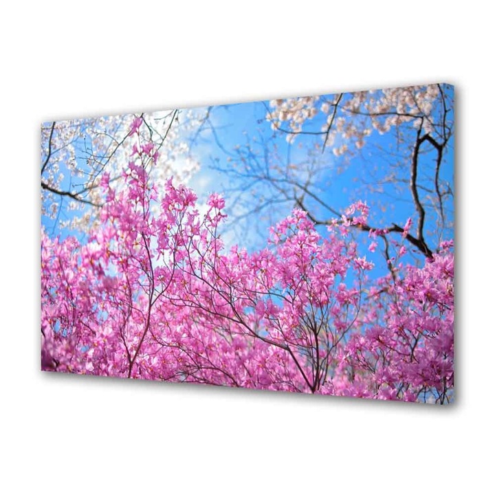 Tablou Canvas, De la roz la albastru, 30 x 45 cm