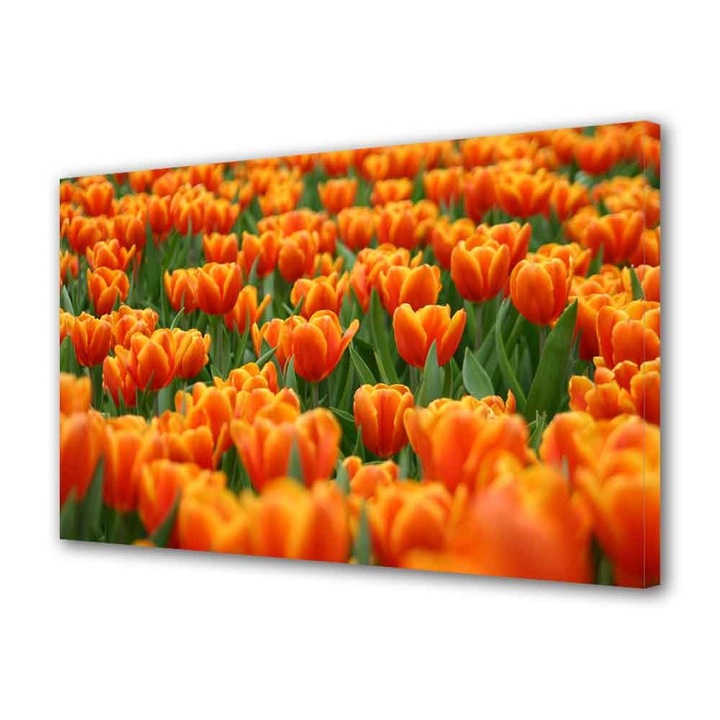 Tablou Canvas Mare de lalele portocalii, 80 x 140 cm