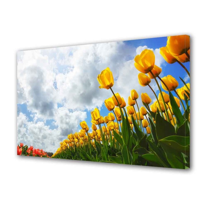 Tablou Canvas Armata de lalele, 80 x 120 cm