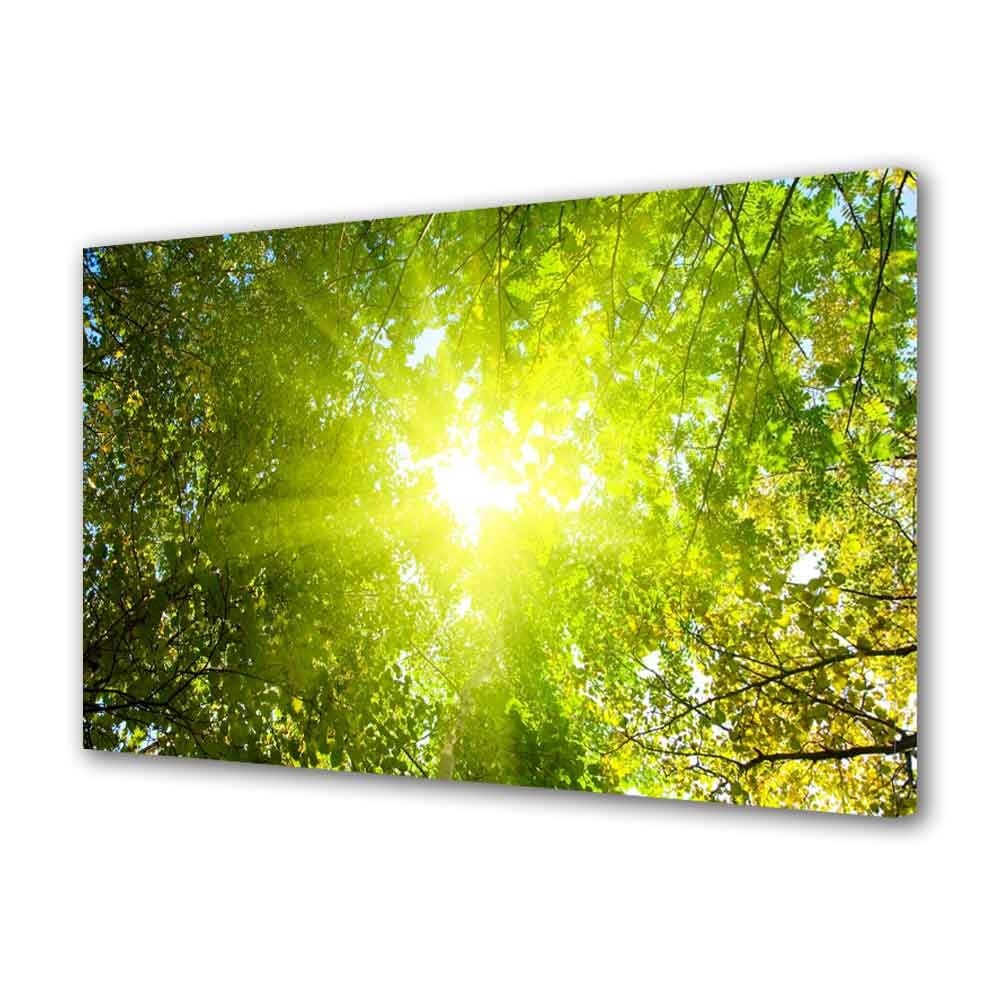 Tablou Canvas, Raze de soare, 20 x 30 cm