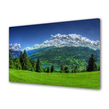 Tablou Canvas Campie de munte, 20 x 30 cm Tablou Canvas Campie de munte, 20 x 30 cm