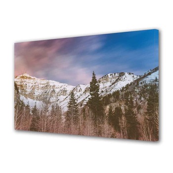 Tablou Canvas Brazi de munte, 20 x 30 cm Tablou Canvas Brazi de munte, 20 x 30 cm