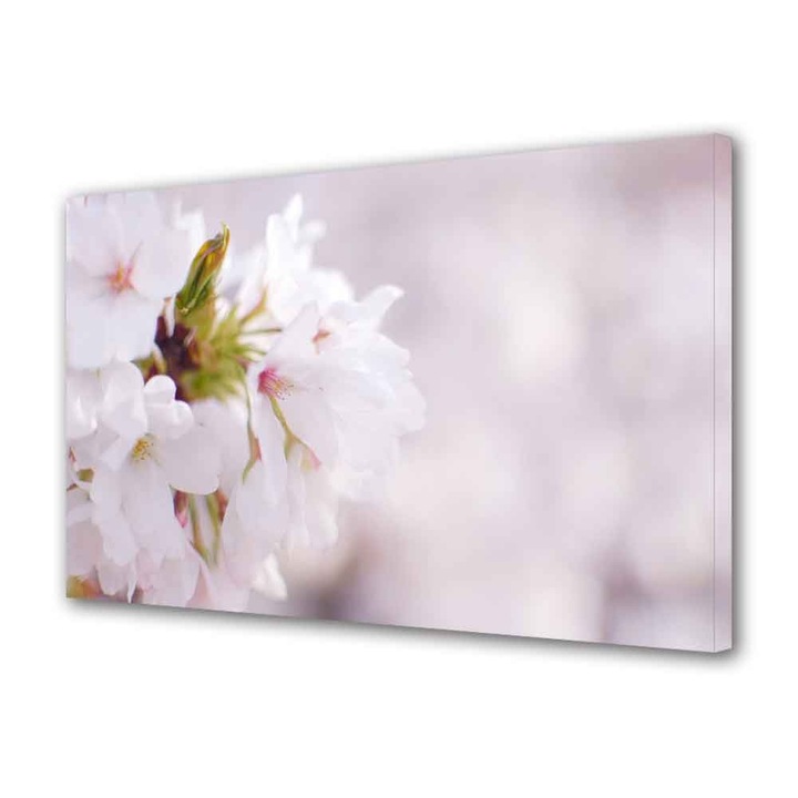 Tablou Canvas Polen, 20 x 30 cm