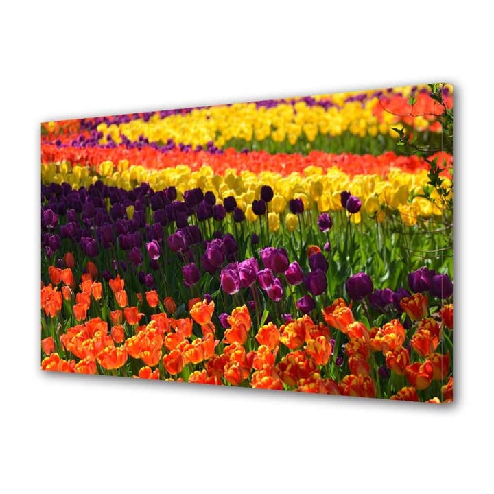 Tablou Canvas Macro Olanda, 70 x 100 cm