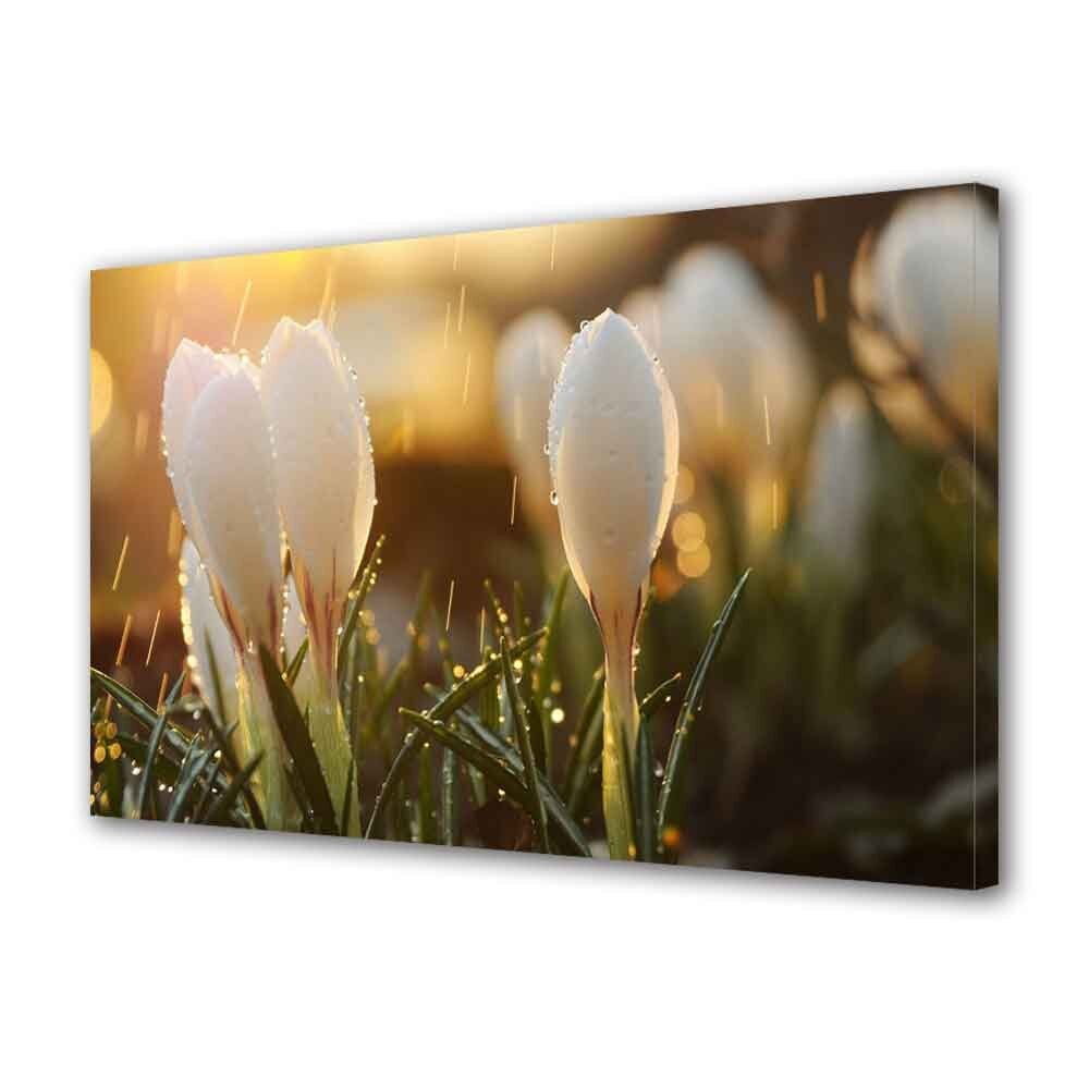 Tablou Canvas Ghiocei, 20 x 30 cm