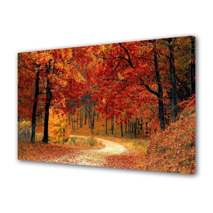 Tablou Canvas Drum in padure toamna, 20 x 30 cm