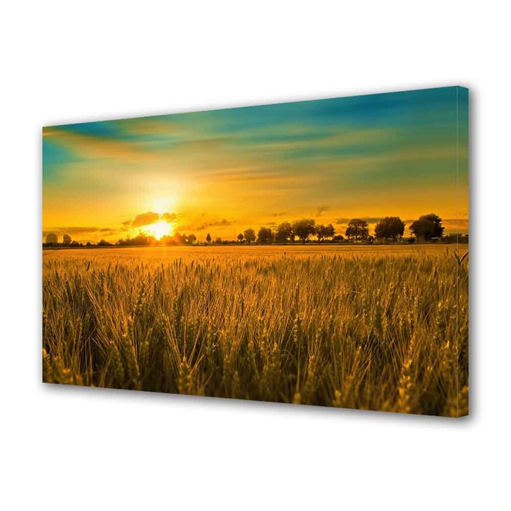 Tablou Canvas Apus in lanul de grau, 40 x 60 cm