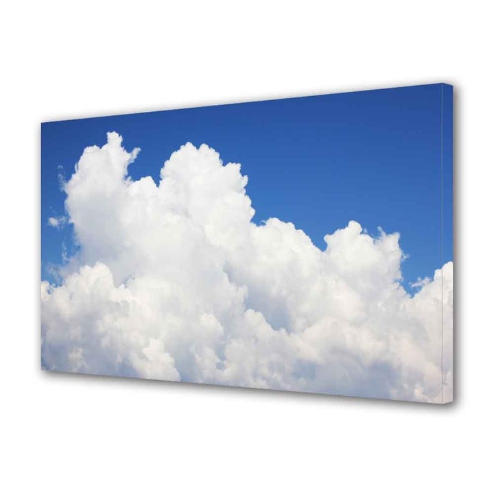 Tablou Canvas Nori pufosi, 70 x 100 cm