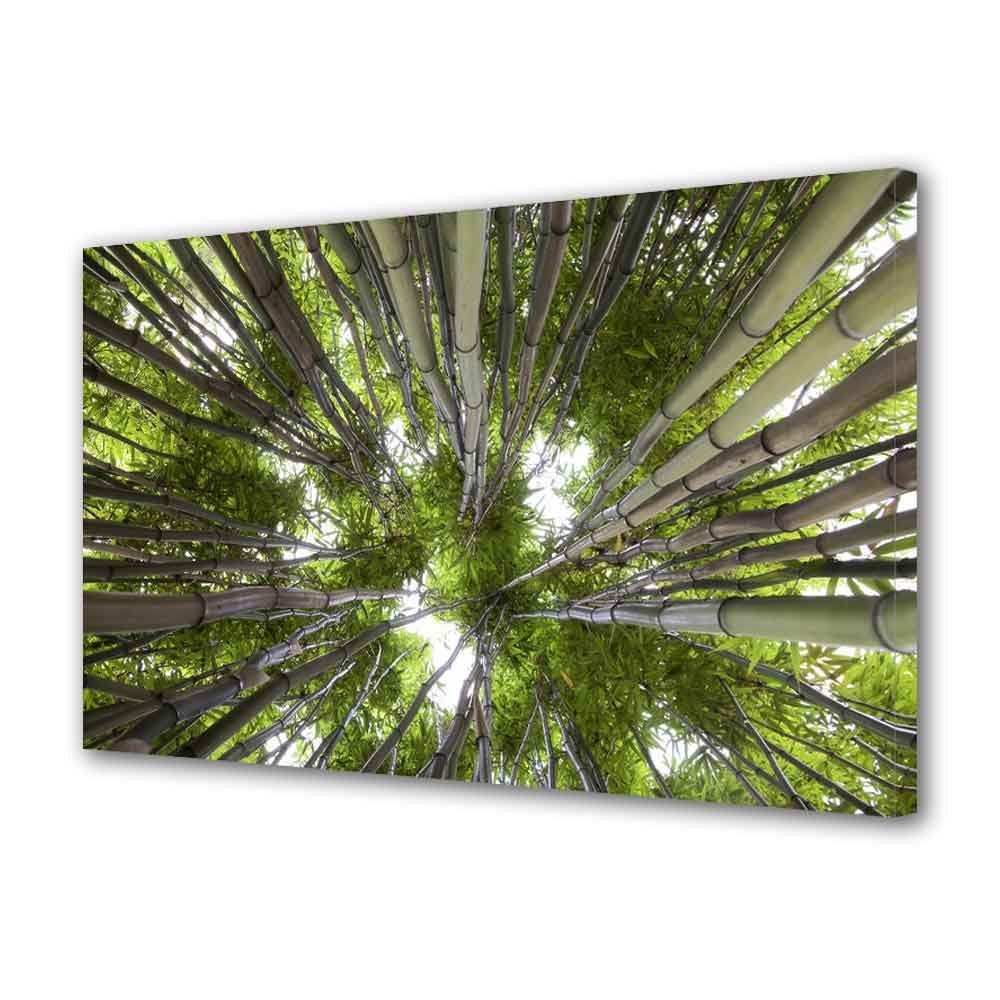 Tablou Canvas Brazi, 20 x 30 cm