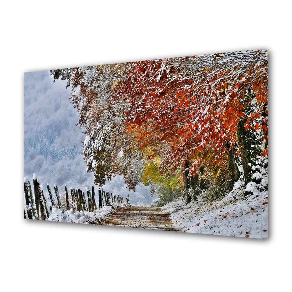 Tablou Canvas, A venit iarna, 20 x 30 cm