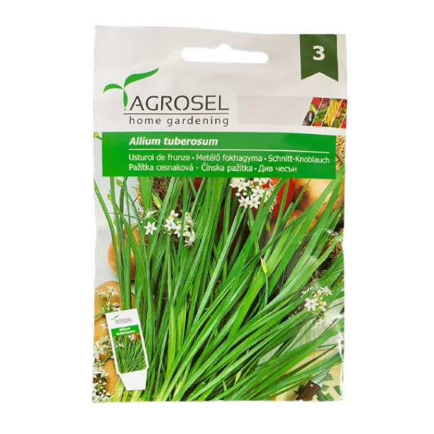 Seminte usturoi de frunze, tratat organic, Agrosel - plic 4 gr