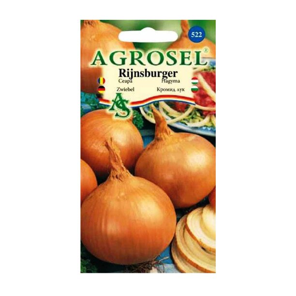 Seminte ceapa, Rijnsburger, Agrosel - plic 2 gr
