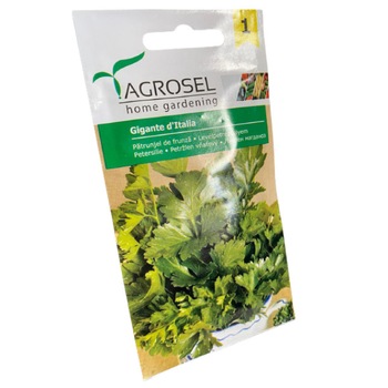 Seminte patrunjel de frunza Gigante d'Italia, Agrosel - plic 4 gr Seminte patrunjel de frunza Gigante d'Italia, Agrosel - plic 4 gr