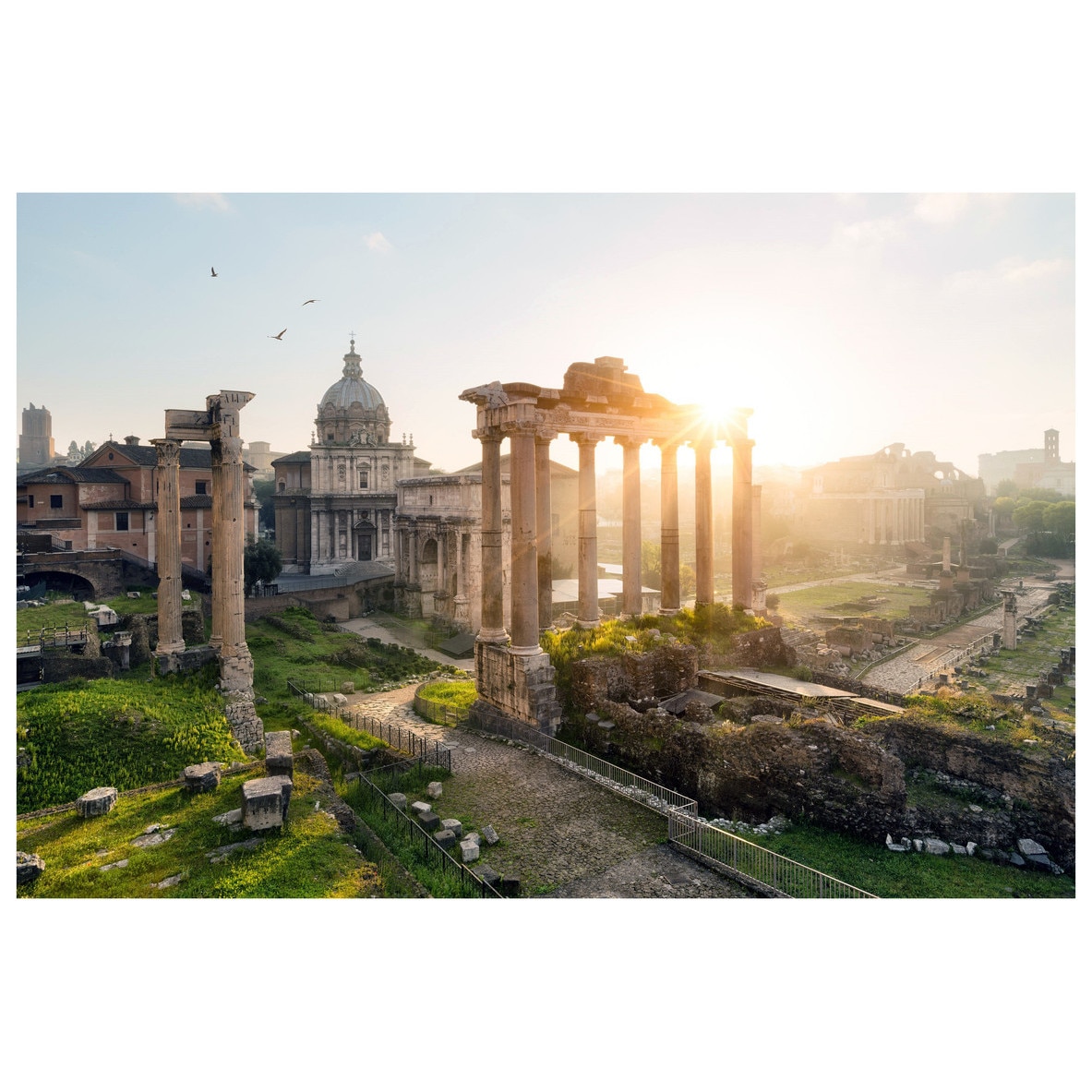 Fototapet Autoadeziv Roma, Forum Magnum - YBL-158, 100 x 150 cm