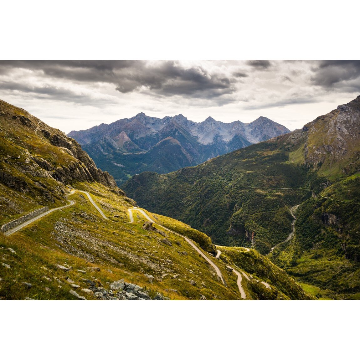 Fototapet autocolant PVC serpentine, 180x240 cm