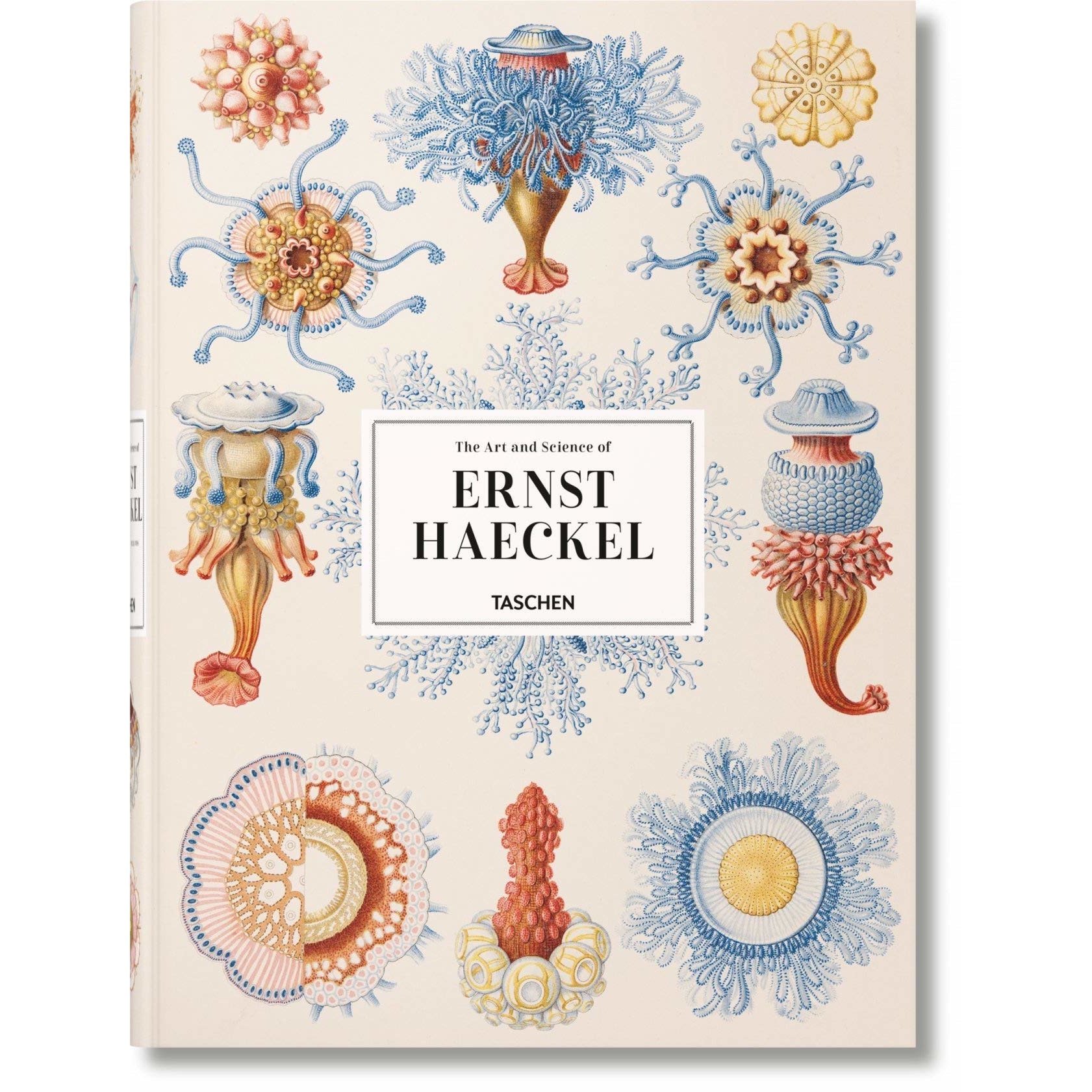 Ernst Haeckel - TASCHEN