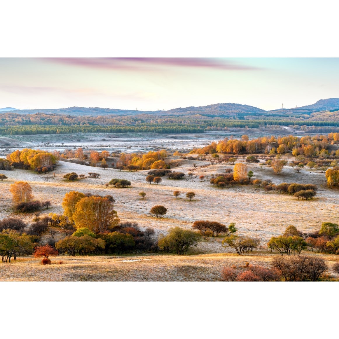 Fototapet autocolant PVC Tinut mongolez, 180x240 cm