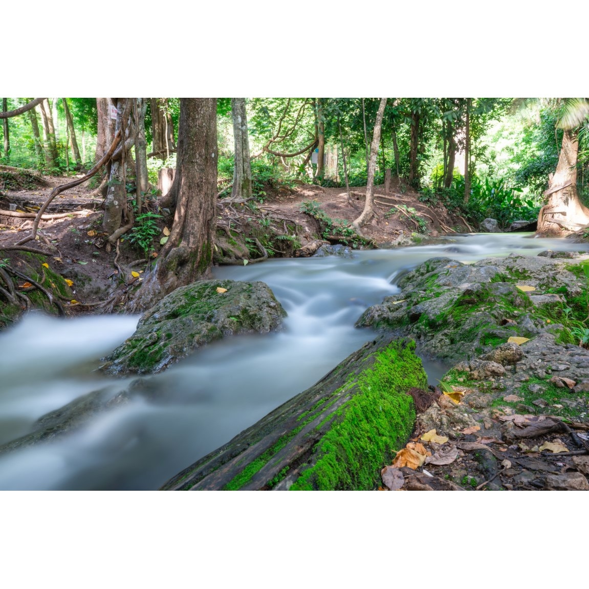 Fototapet autocolant PVC Popotul apei, 180x240 cm