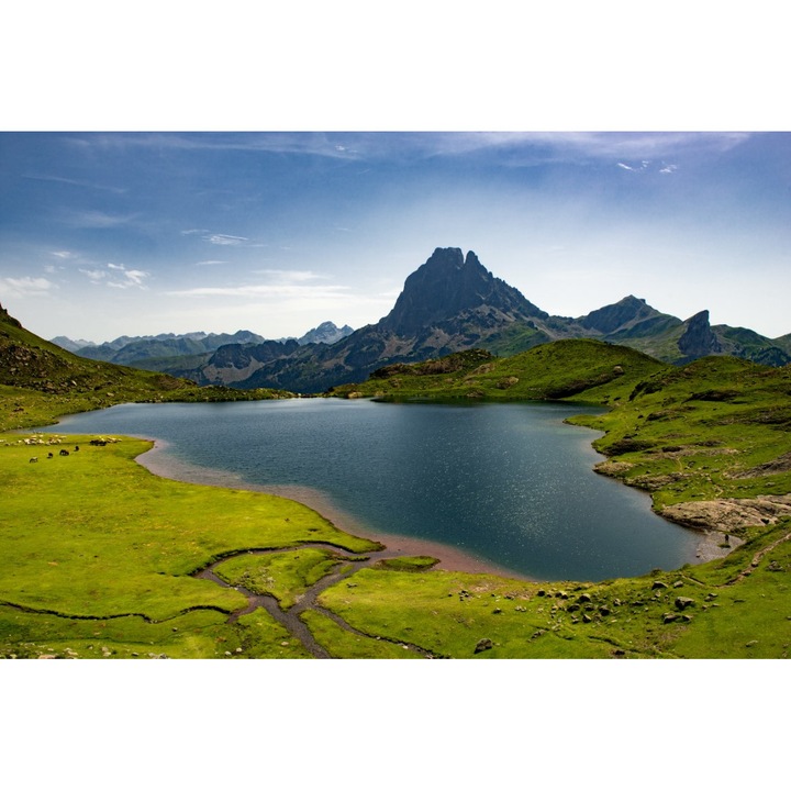 Francia Pireneusok PVC matrica tapéta, 80x130 cm