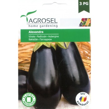 Seminte vinete Alexandra, Agrosel - plic 3000 seminte Seminte vinete Alexandra, Agrosel - plic 3000 seminte