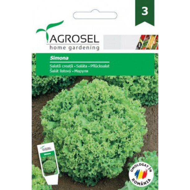 Seminte salata verde Simona, soi romanesc, Agrosel - plic 2 gr