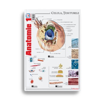 Pliant Anatomie 1 - Florica Mailat Pliant Anatomie 1 - Florica Mailat