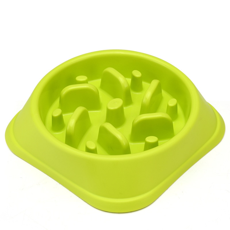 dog bowl with spikes