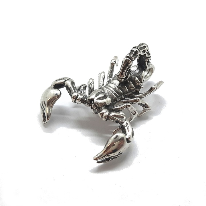 Унисекс сребърна висулка Скорпион, Pe000115, проба 925