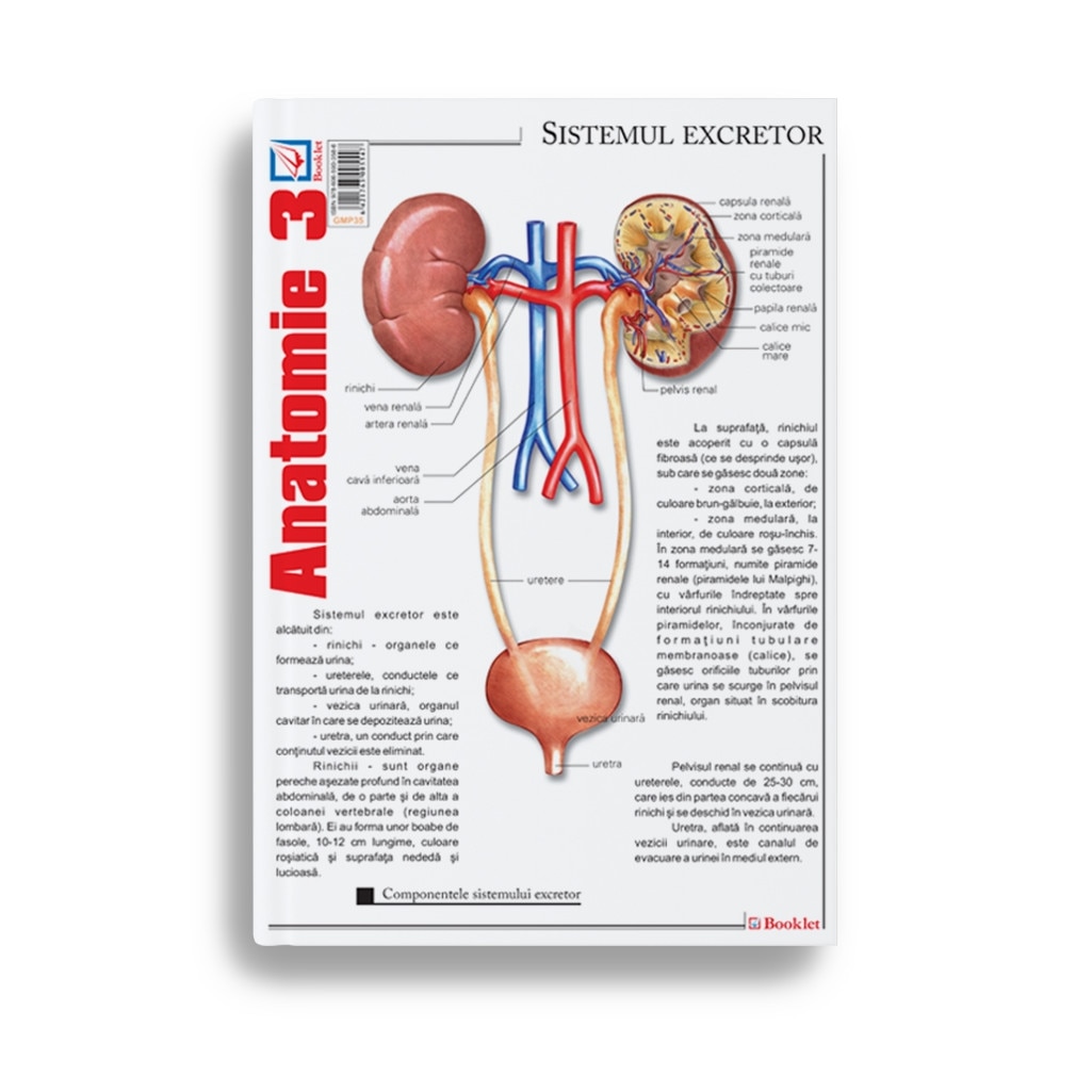 Pliant Anatomie 3 - Florica Mailat