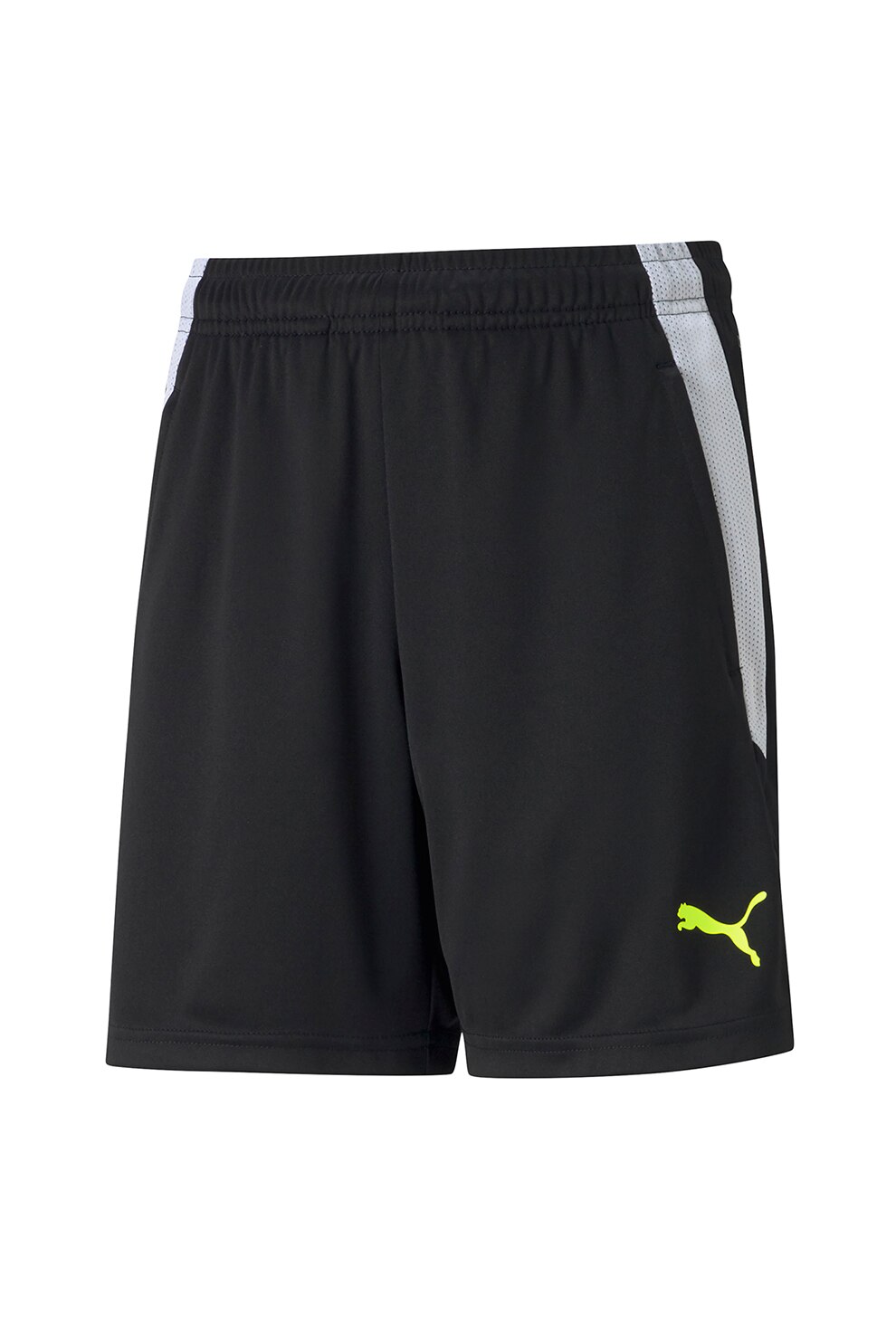 Puma, Pantaloni scurti pentru antrenament Team Liga, Negru