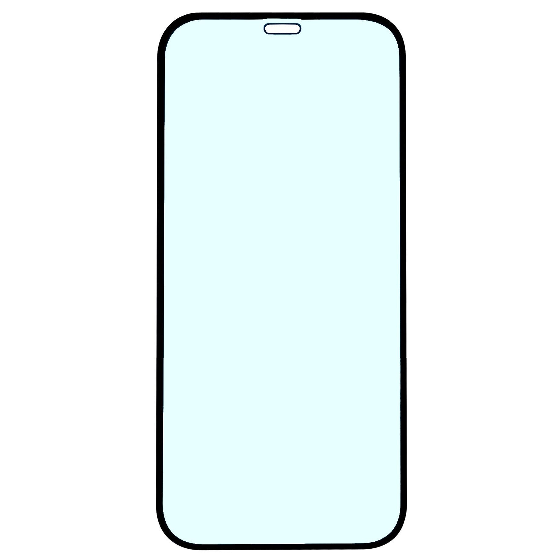 Folie sticla protectie ecran Dux Ducis 10D margini negre pentru Apple iPhone 12 Mini